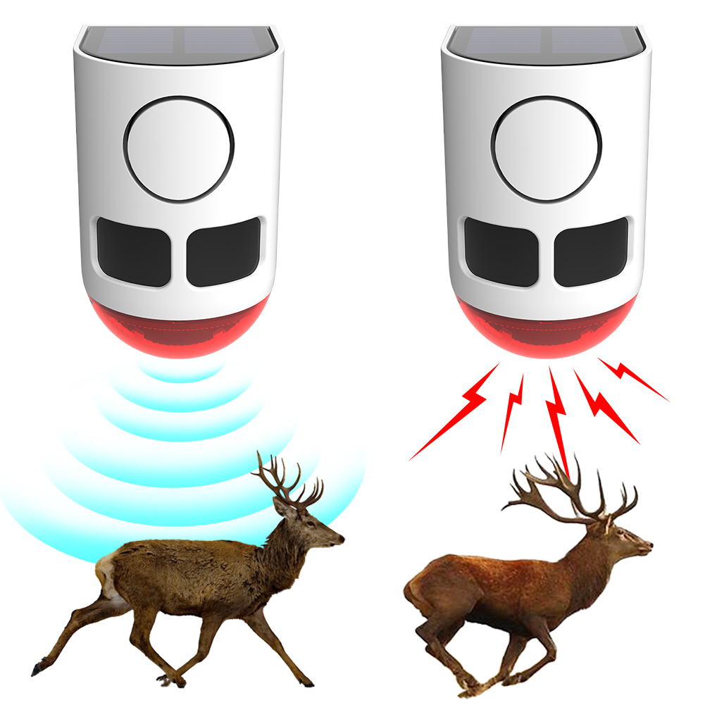 Home Security Lights Outdoors - جهاز إنذار خارجي يعمل بالطاقة الشمسية