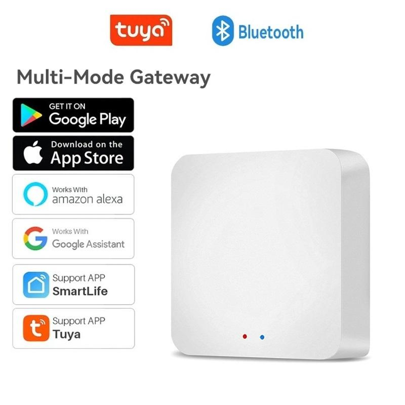 جهاز بوابة التحكم الذكي من توي - مراجعة Home Security Technology وسعره